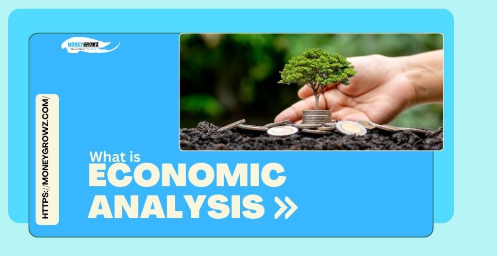 What is Economic Analysis?